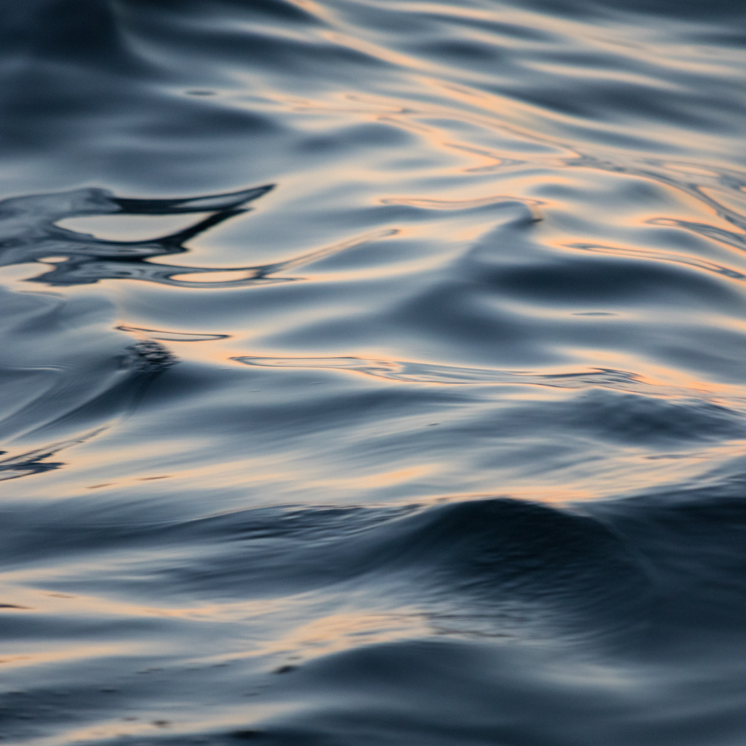 files/Untitled_design_-_2023-09-13T163611.416.png