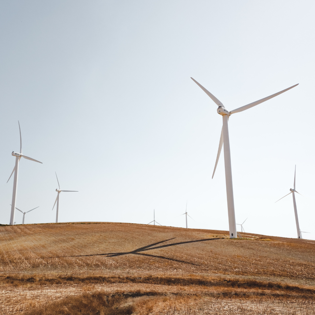 files/Untitled_design_-_2023-09-13T165249.244.png